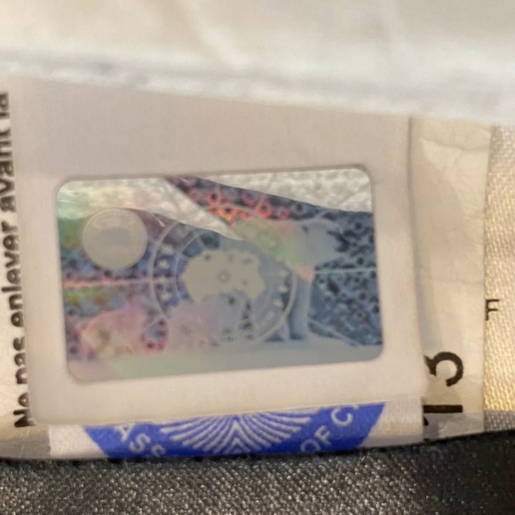 Canada goose - Picture 8 of 8